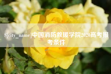 自贡中国消防救援学院2020高考报考条件