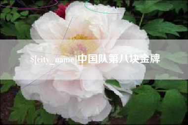 自贡中国队第八块金牌