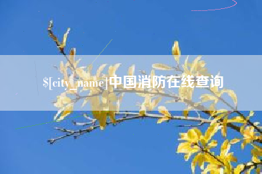 自贡中国消防在线查询
