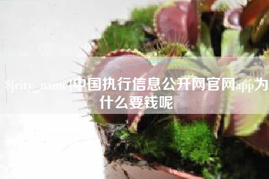 自贡中国执行信息公开网官网app为什么要钱呢
