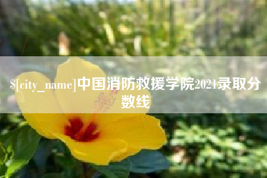 自贡中国消防救援学院2021录取分数线