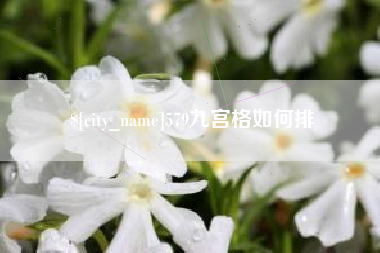 自贡579九宫格如何排