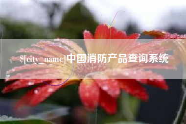 自贡中国消防产品查询系统