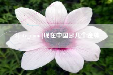 自贡现在中国哪几个金牌