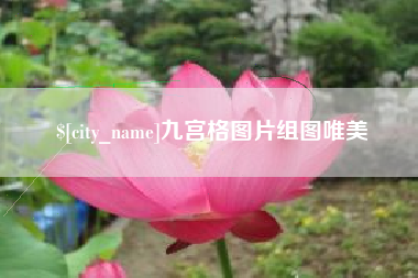 自贡九宫格图片组图唯美