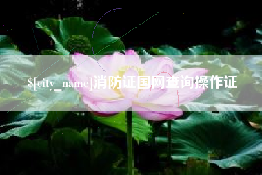 自贡消防证国网查询操作证