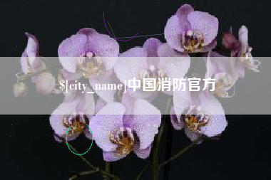 自贡中国消防官方