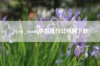 自贡中国执行公开网下载