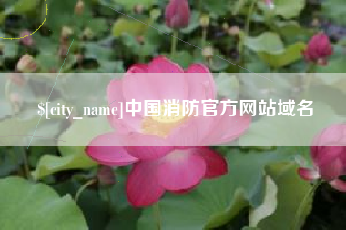 自贡中国消防官方网站域名