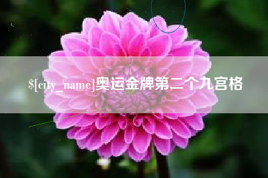 自贡奥运金牌第二个九宫格