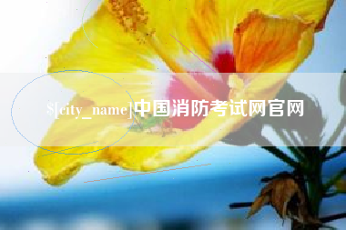 自贡中国消防考试网官网