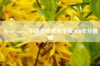 自贡中国消防救援学院2020年分数线