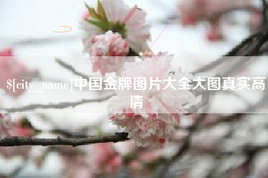 自贡中国金牌图片大全大图真实高清