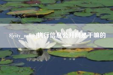自贡执行信息公开网是干嘛的