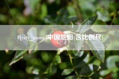 自贡中国地图(含比例尺)