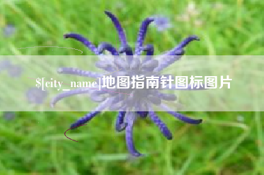 自贡地图指南针图标图片