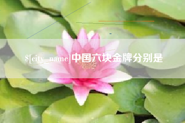 自贡中国六块金牌分别是