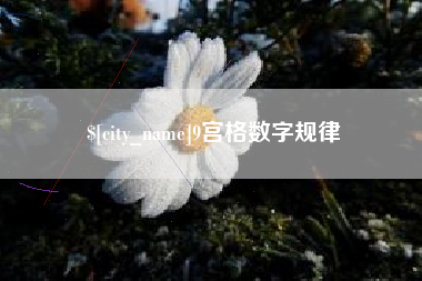 自贡9宫格数字规律