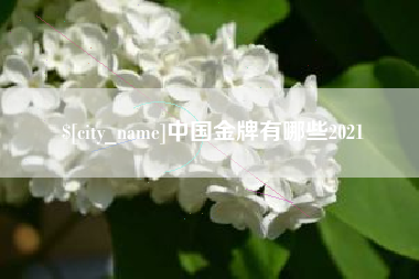 自贡中国金牌有哪些2021