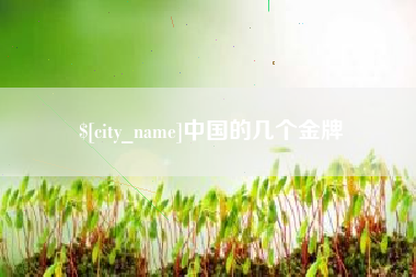 自贡中国的几个金牌