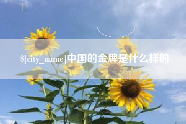 自贡中国的金牌是什么样的