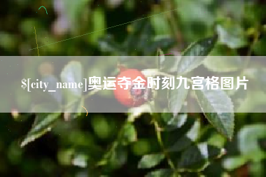自贡奥运夺金时刻九宫格图片