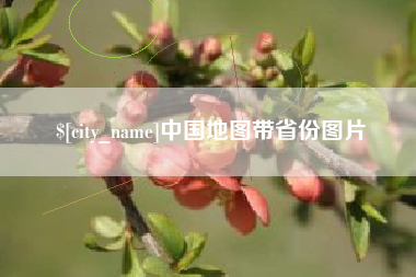 自贡中国地图带省份图片