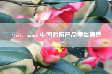 自贡中国消防产品质量信息