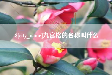 自贡九宫格的名称叫什么