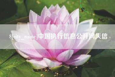 自贡中国执行信息公开网失信