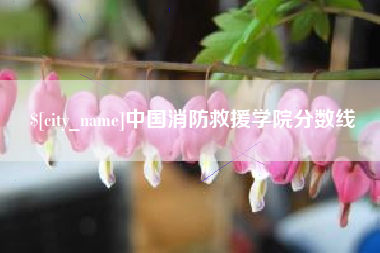 自贡中国消防救援学院分数线