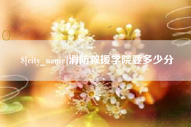 自贡消防救援学院要多少分