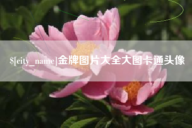 自贡金牌图片大全大图卡通头像