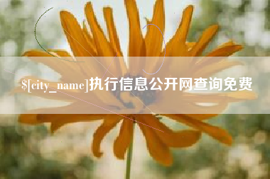 自贡执行信息公开网查询免费